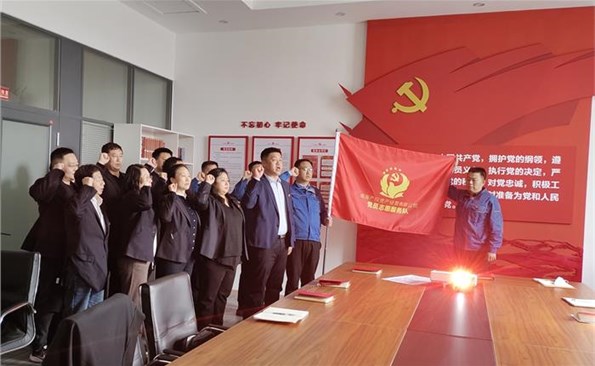 彰顯黨員先鋒價值 助推重點任務攻堅